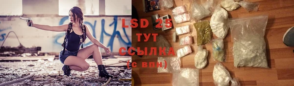 ПСИЛОЦИБИНОВЫЕ ГРИБЫ Ахтубинск