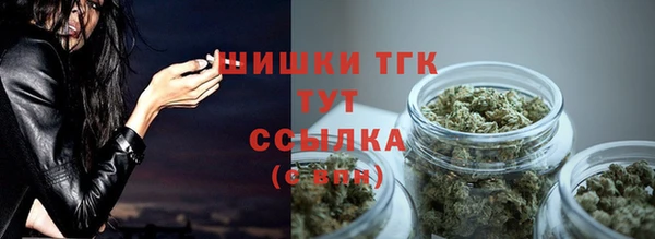 винт Нягань