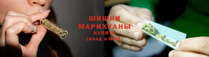 винт Нягань