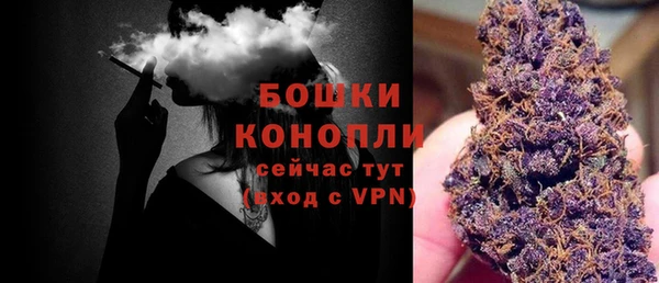 винт Нягань