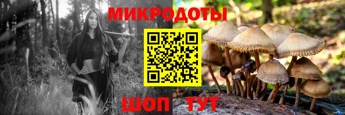 Галлюциногенные грибы ЛСД Юрга